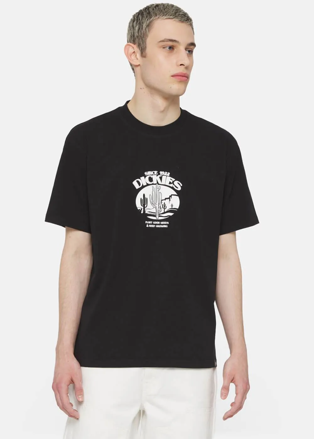 Dickies Men's Timberville T-Shirt Black