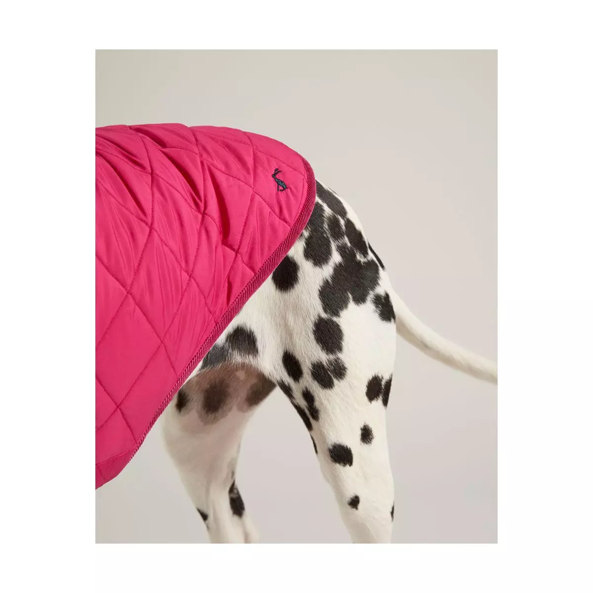 Joules Quilted Dog Coat