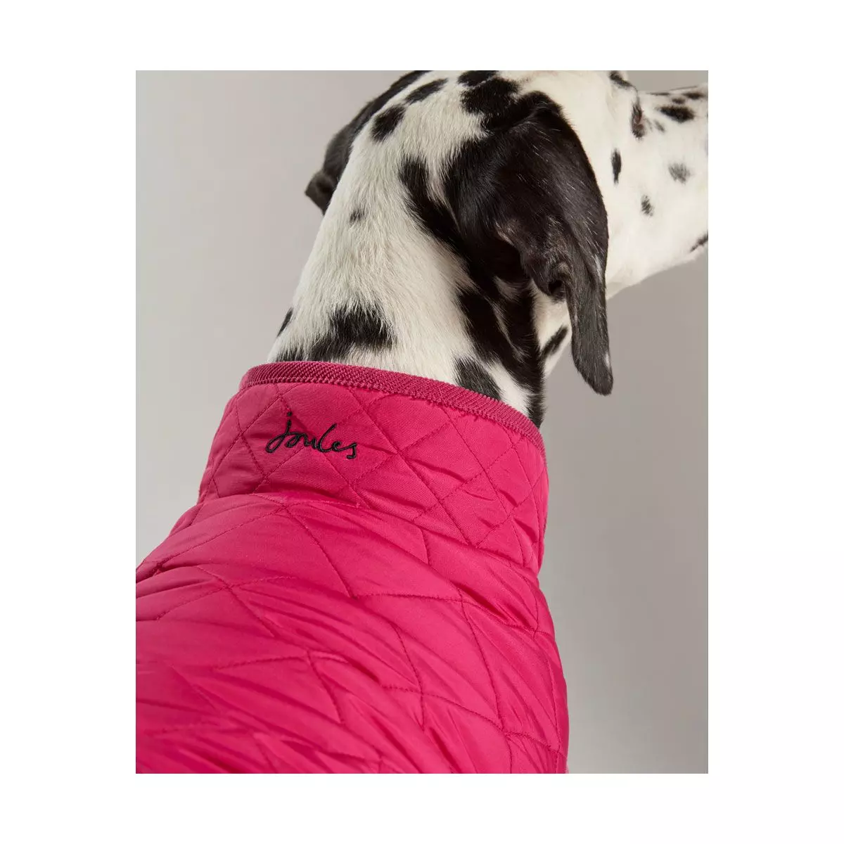 Joules Quilted Dog Coat