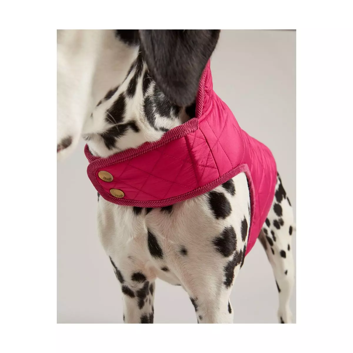 Joules Quilted Dog Coat