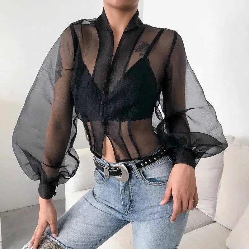 Sheer Lantern Sleeve Blouse in Black