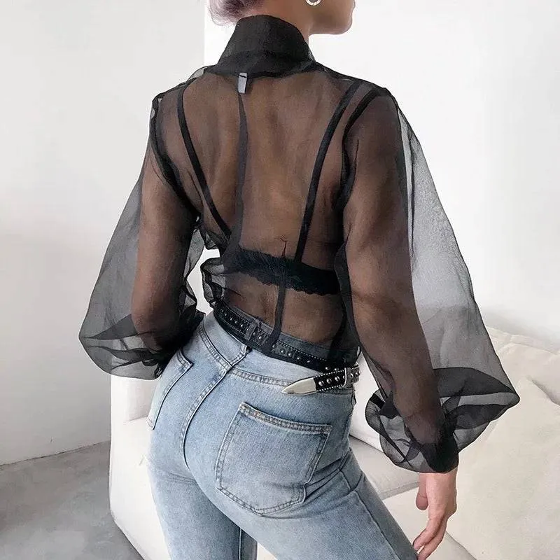 Sheer Lantern Sleeve Blouse in Black